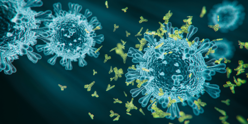 Image showing antibodies attacking a pathogen