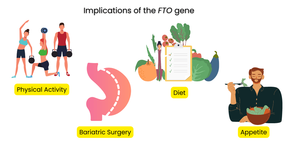 Different implications of the FTO gene
