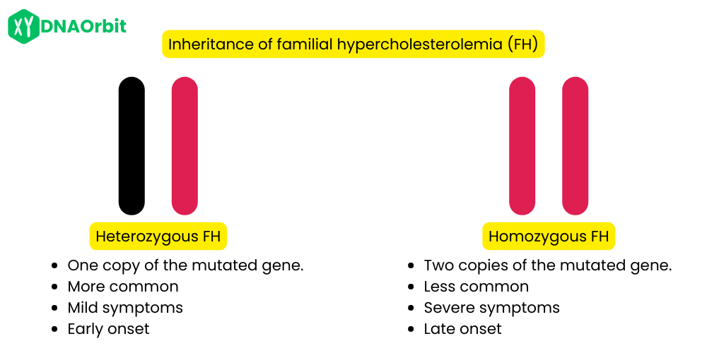 Inheritance of familial hypercholesterolemia